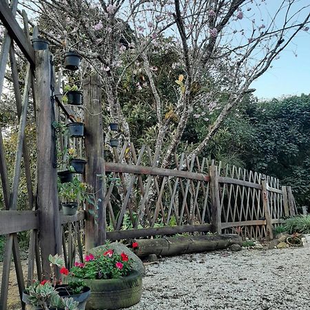 Вилла Casa Kiiro, Um Ambiente Tranquilo E De Sossego. Санту-Антониу-ду-Пиньял Экстерьер фото