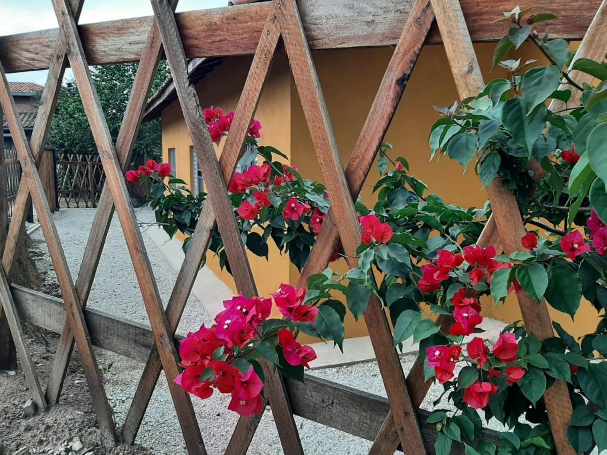 Вилла Casa Kiiro, Um Ambiente Tranquilo E De Sossego. Санту-Антониу-ду-Пиньял Экстерьер фото