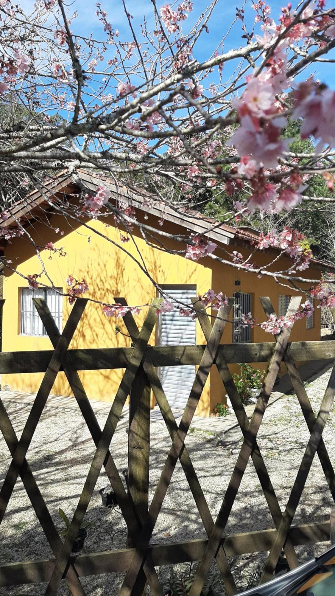 Вилла Casa Kiiro, Um Ambiente Tranquilo E De Sossego. Санту-Антониу-ду-Пиньял Экстерьер фото